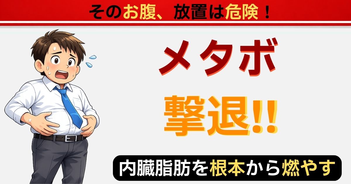 ダイエットで内臓脂肪を減らしメタボを改善するイメージ画像
