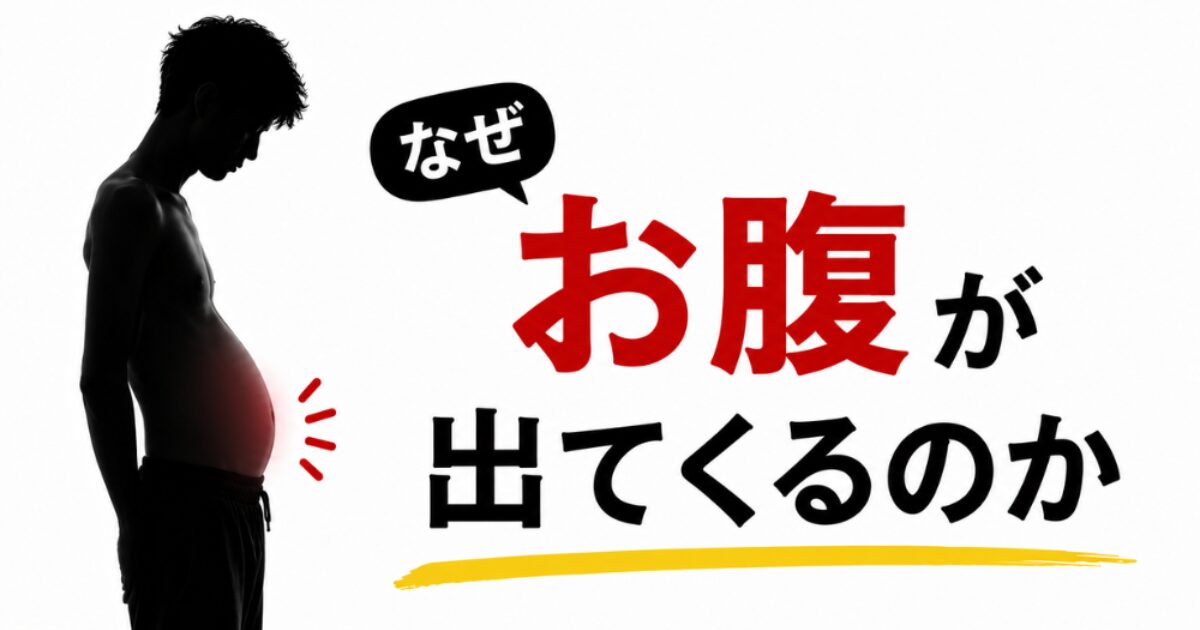 なぜお腹が出てくるのかを解説するポッコリお腹のイメージ画像